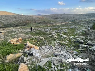  4 نمرة أرض للبيع او البدل ع سيارة بمنطقة روجيب مساحتها 600متر  واصلها خدمات  طابو نابلس