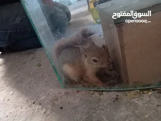  11 حاجات حلوه