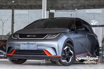  1 Byd dolphin 2023 ( مستعمل)