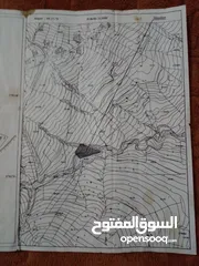  4 أرض للبيع ب واد عليان  Terrain terrain à vendre à Ouad Alian  Land for sale  in oued alian