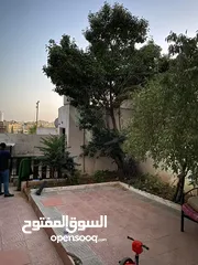  6 عمارة 8 شقق في العبدلي بجانب البوليفارد بدخل ممتاز للبيع بسعر الارض
