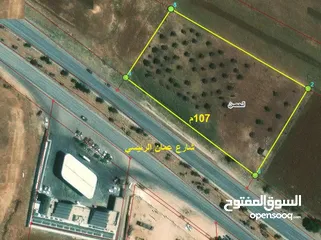  1 ارض تجارية 6432متر في الحصن ضمن حوض المومنية تقع على الشار ع الرئيسي اربد عمان