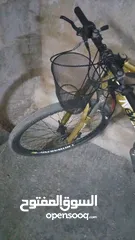  7 بسكليت بنزين