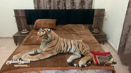  3 غرفة نوم جديدة