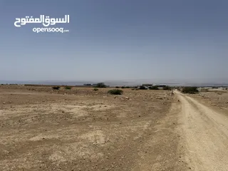  3 للبيع ارض في منطقة البحر الميت