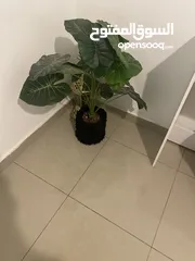  4 اغراض متنوعة للبيت واحذية