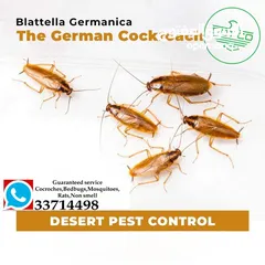  11 Garanteed service pest control and cleaning services