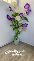  20 شجر زينه جديد للبيع اشكال واحجام مختلفه تصل لطول 2متر وتبدا اسعار من 5دينار ويوجد توصيل