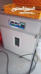  3 فقاسه اتوماتيك