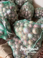  2 بصل عماني اصلي