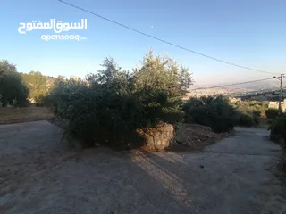  21 بيت ريفي للبيع في جرش - ثغرة عصفور