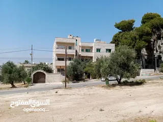  2 بنايه في منطقه الحمر من أراضي شمال عمان للبيع تتكون من ثلاث طوابق مقسمه الى 8شقق '