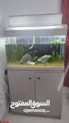  5 Aquarium with Wooden Stand for Sale – 65 OMR