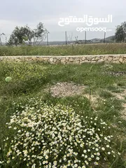  1 ارض للبيع موقع مميز
