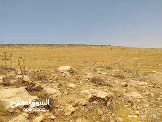  3 أرض استثمارية مميزة للبيع في الزرقاء جريبا مرتفعة ومطلّة على مدينة عمان