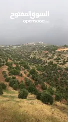 5 منزل منعزل مع حديقة فواكه 3 غرف صاله مجلس بلكون مطبخ مجهز مواقف سيارات