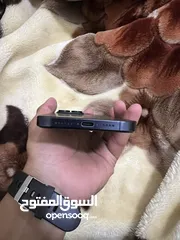  2 ايفون 15 برو ماكس مشفر تفاصيل.فصور الشرا م بقصز معو ان شاء الله