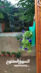  10 شقه للبيع مساحة 330م 150م داخلي و180 خارجي.