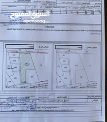  5 قطعة ارض 20 دونم جنوب عمان قرية زينب حوض الرواق  تقع على الشارع الرئيسي للمنطقة داخل التنظيم