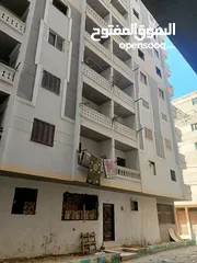  1 شقة في اسكندريه