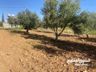  7 قطعتان ارض للبيع احدهما تجاري و الاخرى سكني ب على مدخل ذيبان /مادبا
