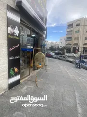 1 محل قطط وعصافير