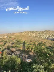  1 قطعة ارض مميزه جدا وموقع مميز فرصه لبناء منزل الاحلام وسعر جداً مميز شفا بدران ام رمانه اطلاله رائعه