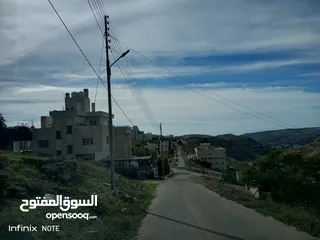  5 ارض للبيع 1 دونم الدمينة خلف الظهير وخلف مسجد العاشوري غرب عمان