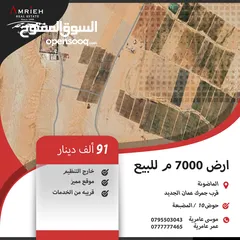  1 ارض للبيع في الماضونة / قرب جمرك عمان الجديد