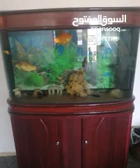  2 حوض اسماك أجنبي  فخم جداً