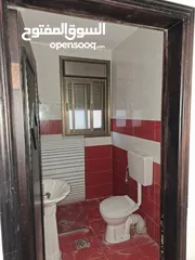  5 ابو زين ابراهيم