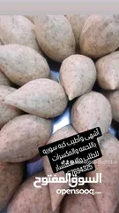  3 مأكولات جاهز سوريه غير شكل
