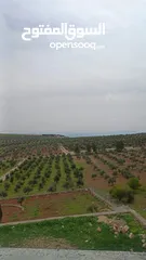  6 مزرعه مع فيلا راقيه قيد الانشاء على تله طريق اربد عمان ثغره عصفور