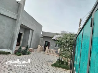  6 منزل أرضي للبيع مصراتة/جامع الشوري