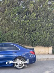  6 C200 (AMG) 2020 low millage