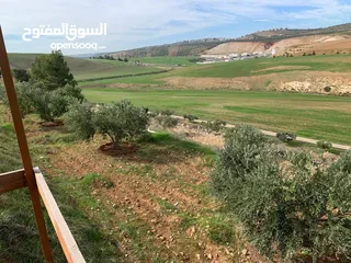  5 ارض للبيع10دنومات