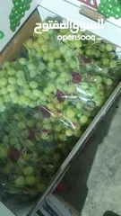  3 مشروع تجاري مربح بحاجة لتمويل