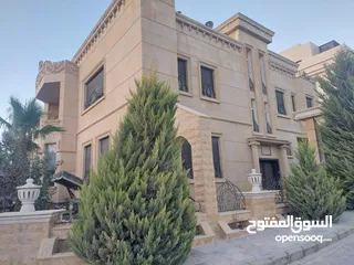 2 للبيع فيلا شبه قصر في اجمل مواقع دابوق الهادئه 1050 م