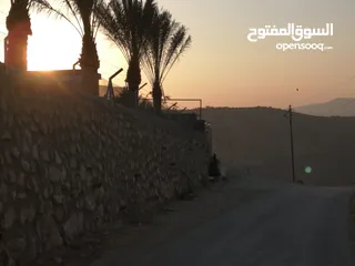  17 ارض شارع الأردن اراضي شمال عمان السليحي