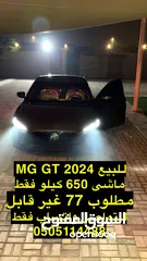  3 Mg Gt 2025