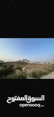  4 ارض بموقع مميز نابلس الجديدة