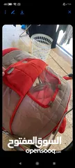  5 عرباية اطفال استخدام شهر