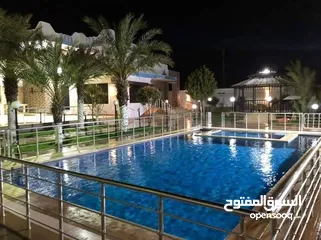  2 انشاء و صيانة احواض السباحه - الحدائق - الشلالات و النوافير المقاولات و التشطيبات وديكورات احترافيه