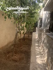  13 عمارة للبيع في وادي الحجر