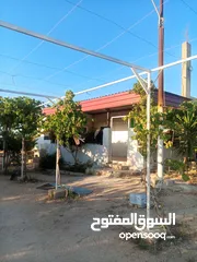  20 بيت مستقل تقريبا مزرعه مشيكه كامله مزروعع عنب وحمضيات مساحه البناء 160م وغرفه خارجيه 40م الواقع احلا