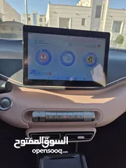  7 BYD SEAGULL 305km