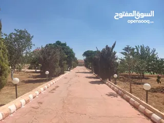  4 مادبا حواره مزرعه للبيع