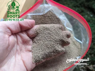  4 سماد عضوي ( سماد فضلات دود الطحين )  Mealworm Frase لأول مرة بالأردن