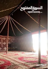  17 خيم شعر تراثيه  حجم 8م×4م يوجد أحجام أخرى حسب الطلب  الخيم جديده ولا يوجد  مستعمله
