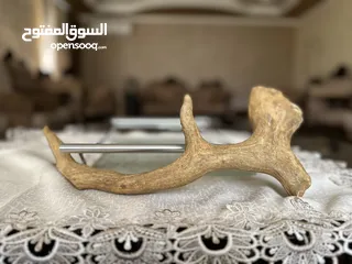  3 قرن غزال ..